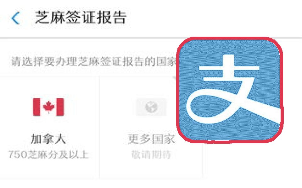支付宝隐藏功能?750分以上能申请加拿大签证,你够格吗?哔哩哔哩bilibili