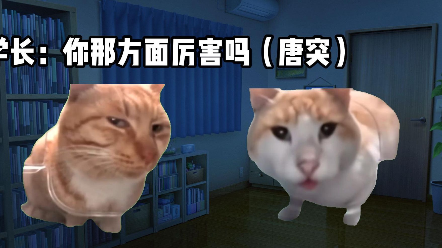 [图]【猫meme】被人介绍了涩涩影片男演员的打工