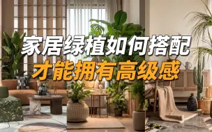 Download Video: 家居绿植如何搭配？学完立马搭出高级感！