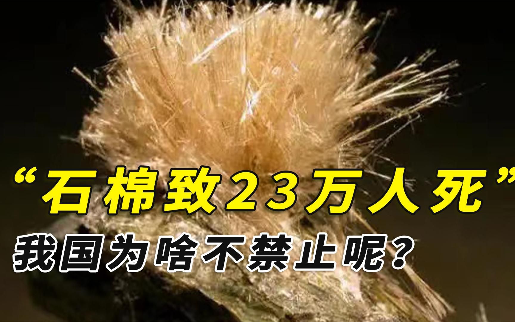 石棉致癌?每年造成23万人死亡,为啥我国不禁止?哔哩哔哩bilibili