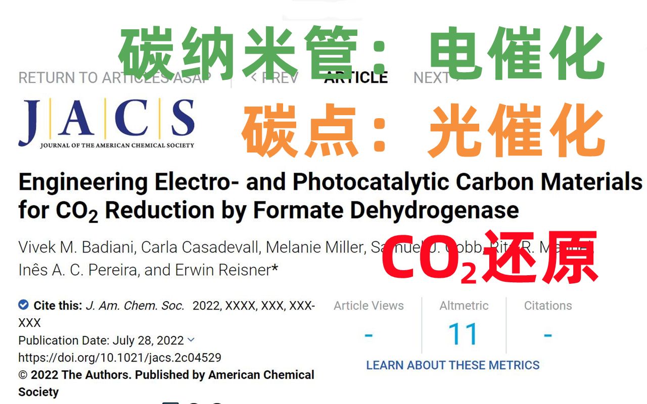 【碳点x光催化】JACS 用于CO2还原的电催化和光催化碳材料:碳纳米管 碳点哔哩哔哩bilibili