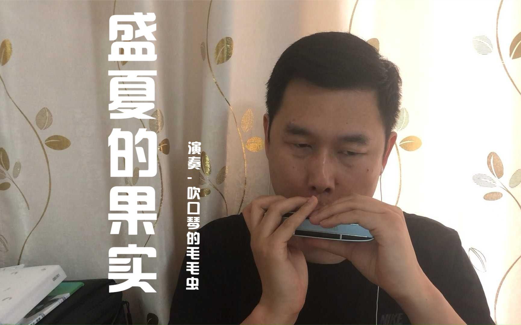 盛夏的果实口琴图片