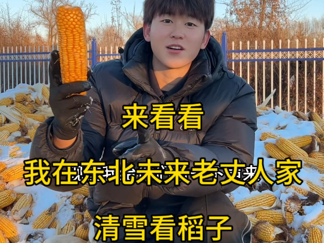 来看看我在东北未来老丈人家的一天 了,今天清雪看稻子哔哩哔哩bilibili