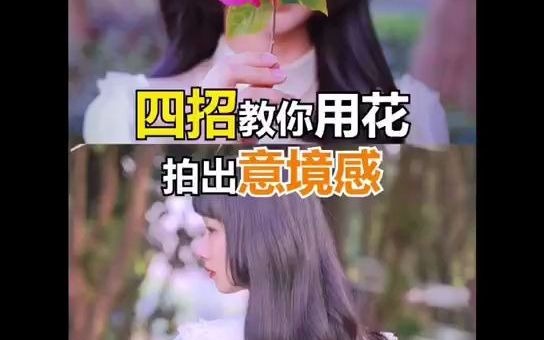 四招教你用花拍出意境大片!哔哩哔哩bilibili