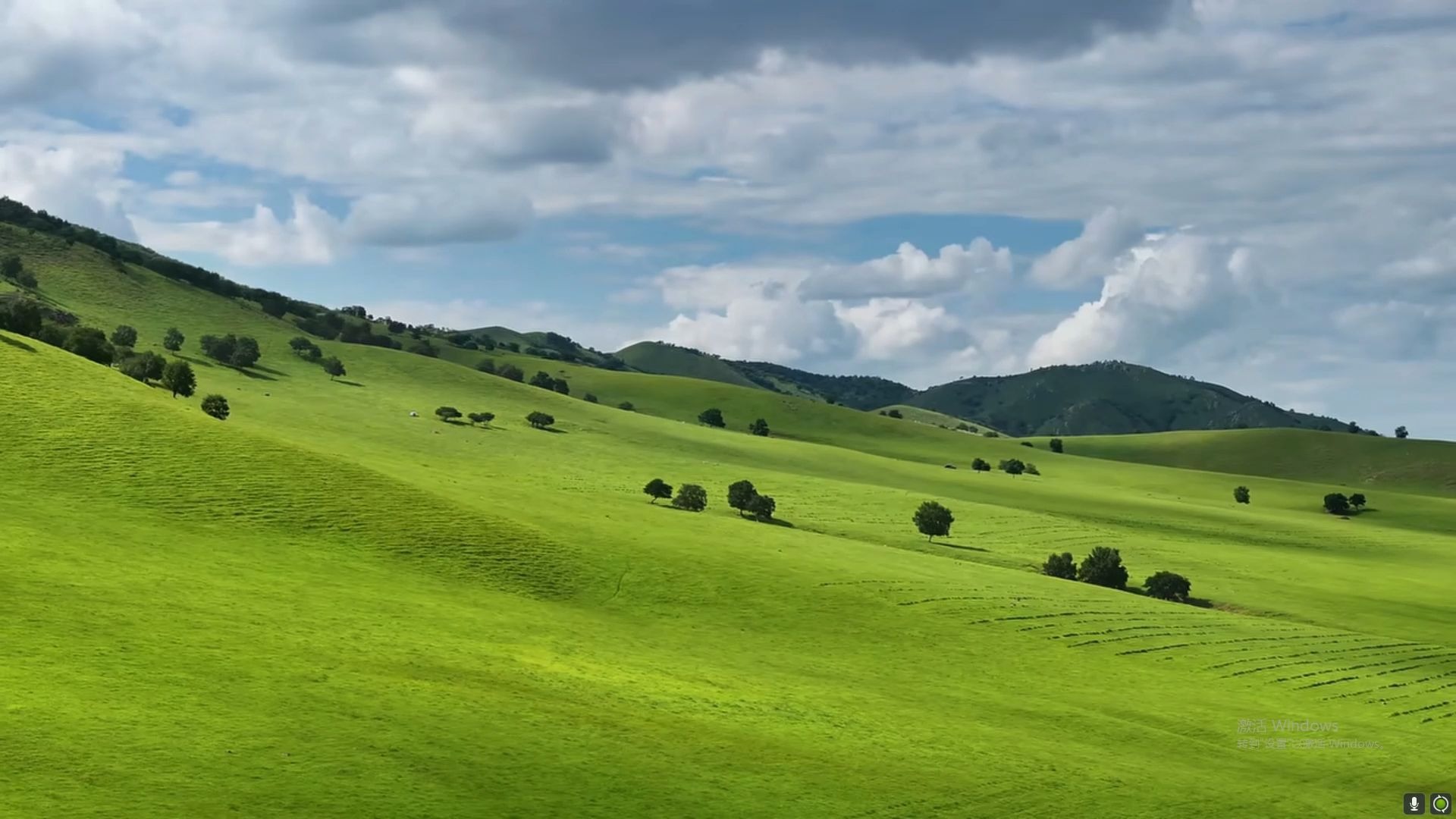去不了青青草原总得来一趟