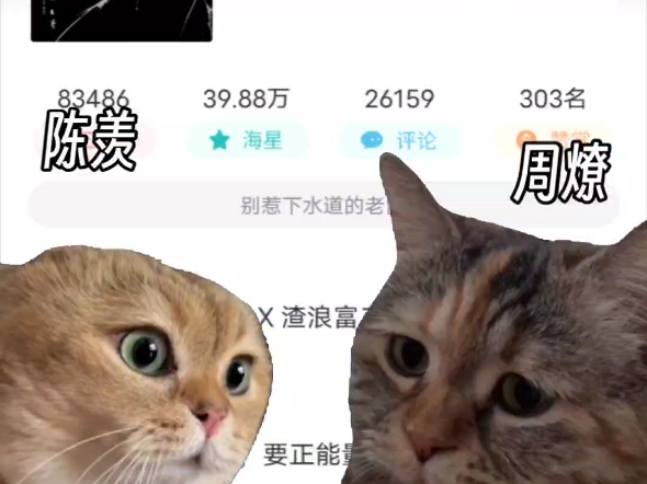 猫meme【咎由自取】秦湛*周燎哔哩哔哩bilibili