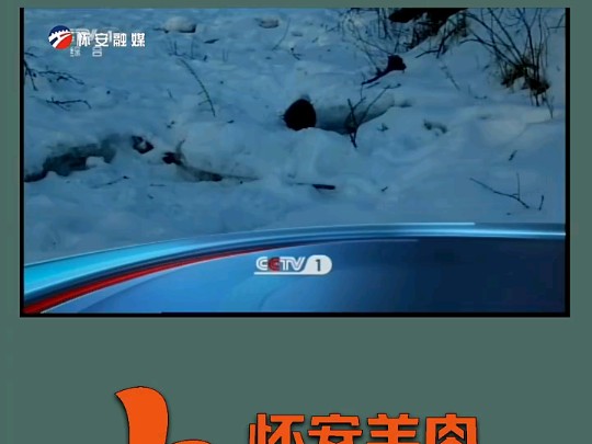 CCTV1开台 2024.11.22哔哩哔哩bilibili