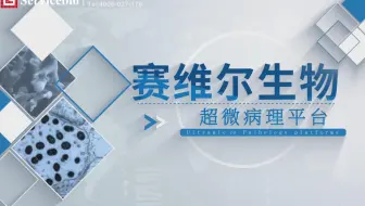 电镜检测找哪家？看看赛维尔！