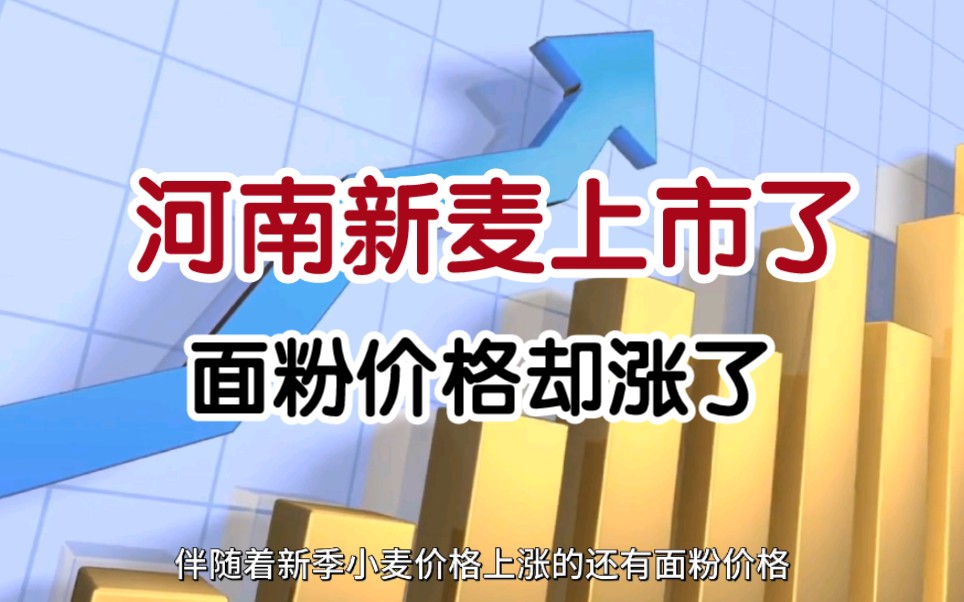 养猪亏损?国家冻肉收储工作遭遇养殖企业冷眼旁观;产粮大省河南新小麦上市,面粉价格再次上涨哔哩哔哩bilibili