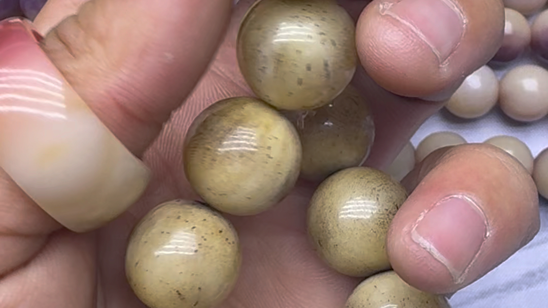 【牙骨角高端文玩】最新视频来袭,快来看看吧!