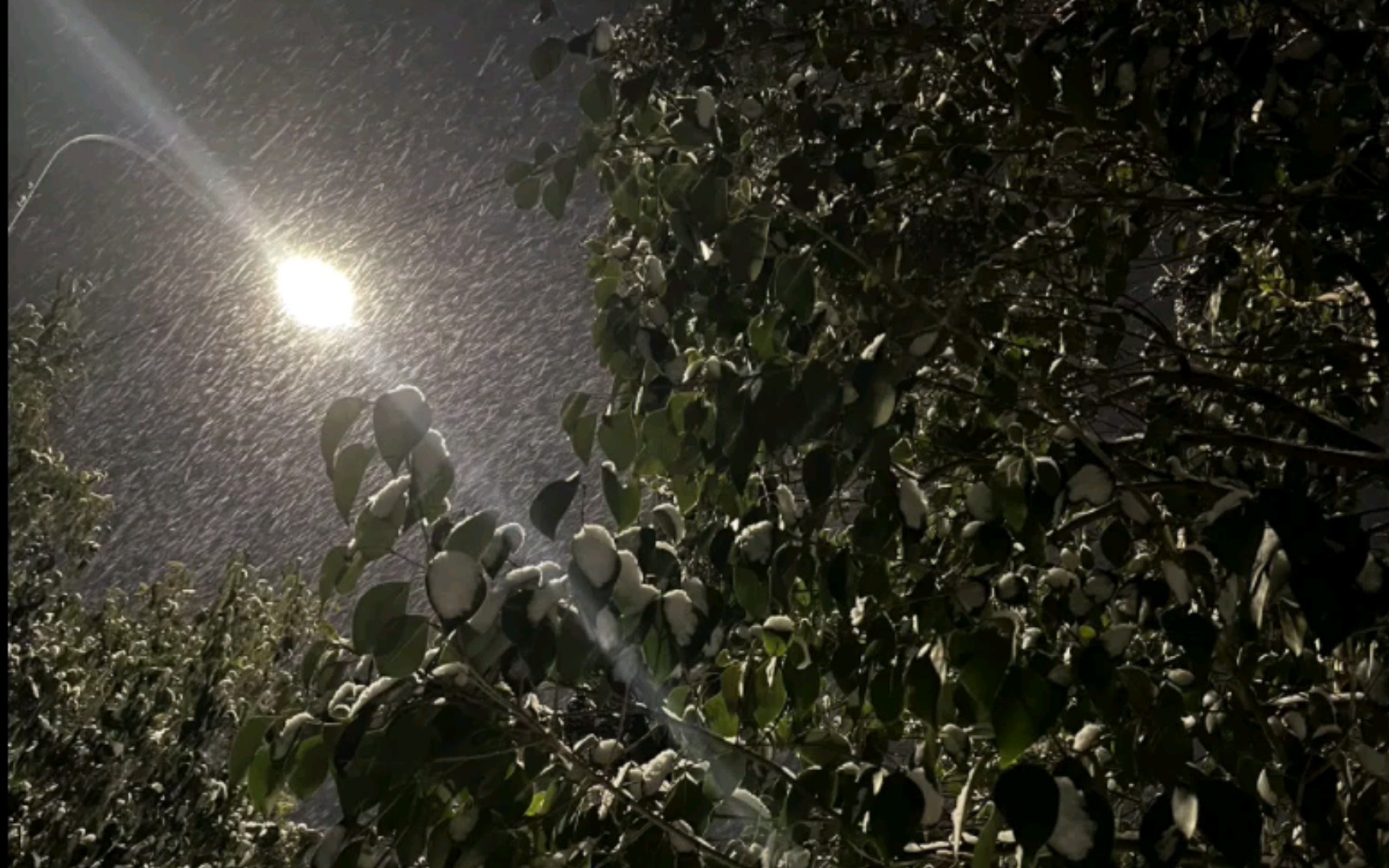 [图]“他朝若能同淋雪，此生也算共白头。白头并非雪可替，相识已是上上签”