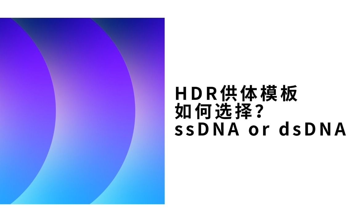 HDR供体模板如何选择?ssDNA or dsDNA哔哩哔哩bilibili