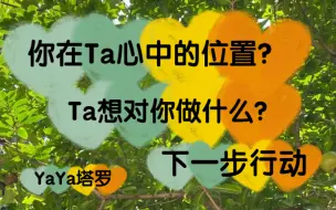 Video herunterladen: 【YaYa塔罗】你在Ta心中的位置？Ta想对你做什么？下一步行动？