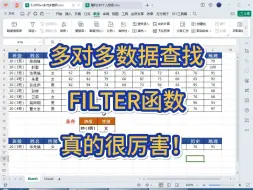 下载视频: 多对多数据查找，FILTER函数真的很好用！查找数据又快又准，一定要学！