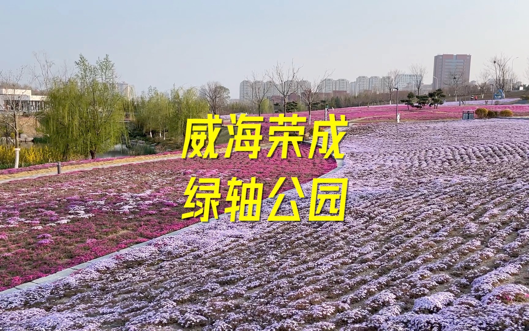 来逛逛威海荣成绿轴公园