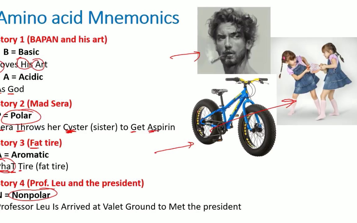 阿三教你——如何记忆20种氨基酸!Memorize amino acids  amino acid easy tricks to remember哔哩哔哩bilibili