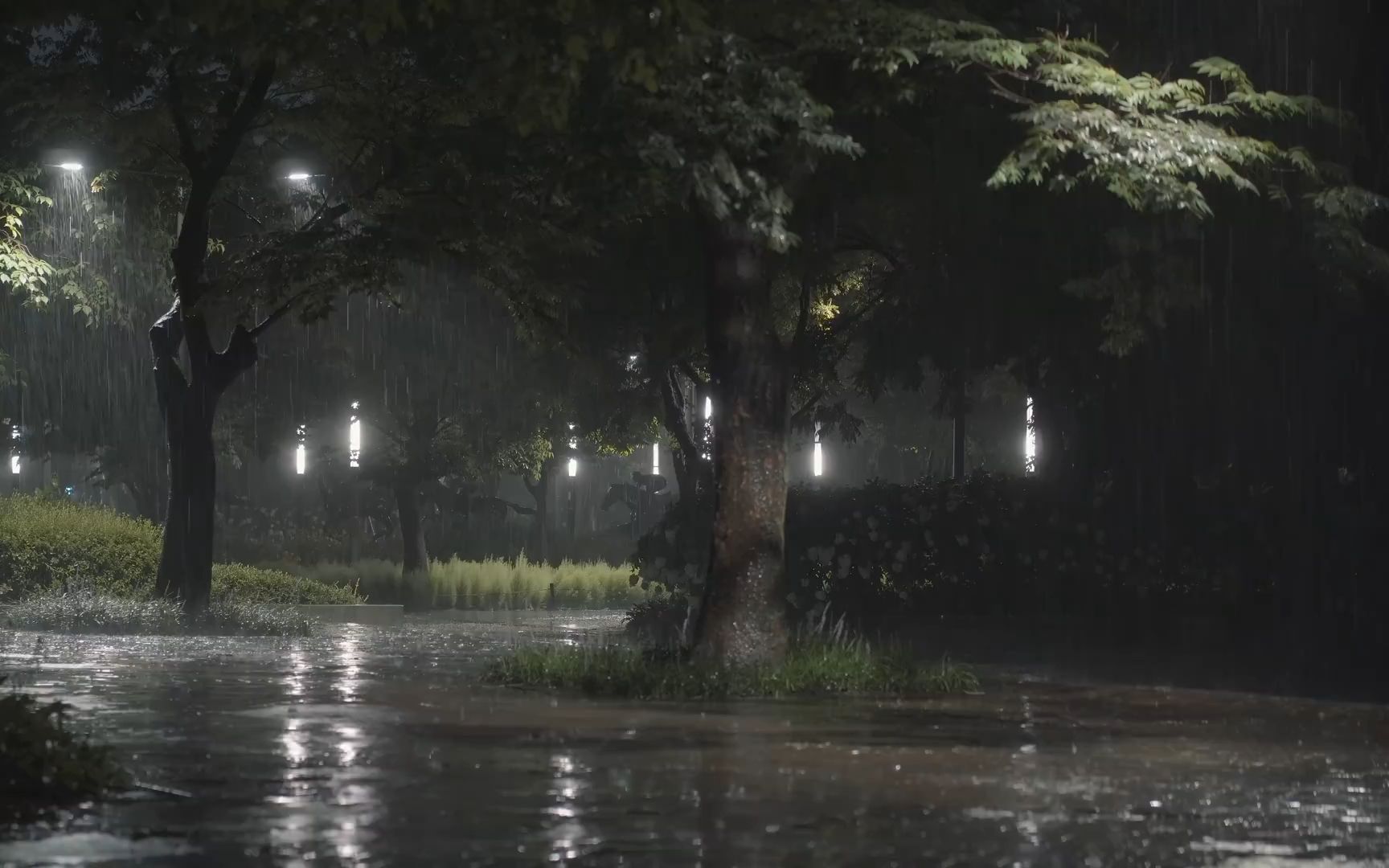 倾盆大雨韦恩图片