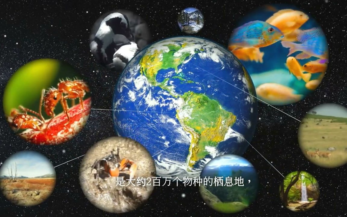 [图]有shi以来，我们对土壤的了解还不如浩瀚宇宙多—2020世界土壤日