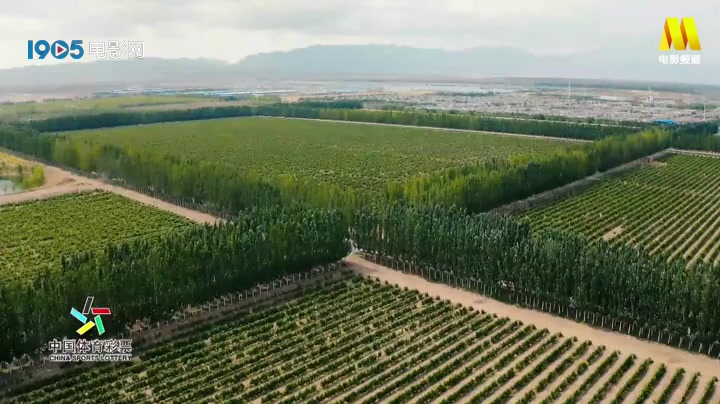 [图]《温暖有光放映队》银川原隆百村异地搬迁 干沙滩变金沙滩