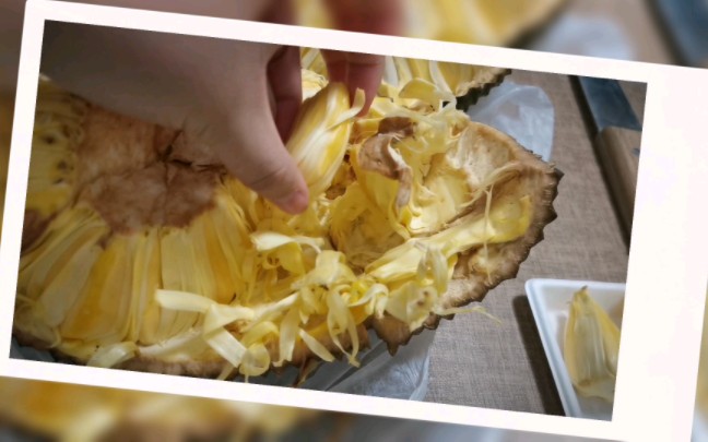 菠萝蜜怎么剥 B站