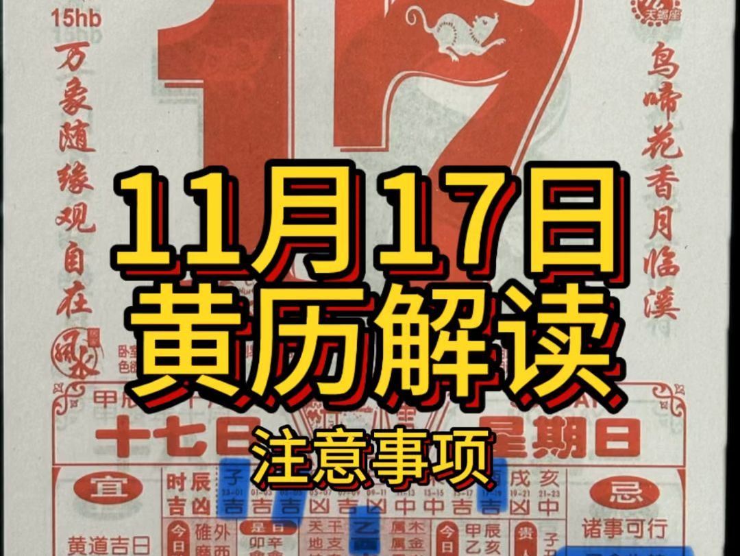 11 月 17 日黄历解读(注意事项)#老黄历 #运势早知道 #明日预测哔哩哔哩bilibili