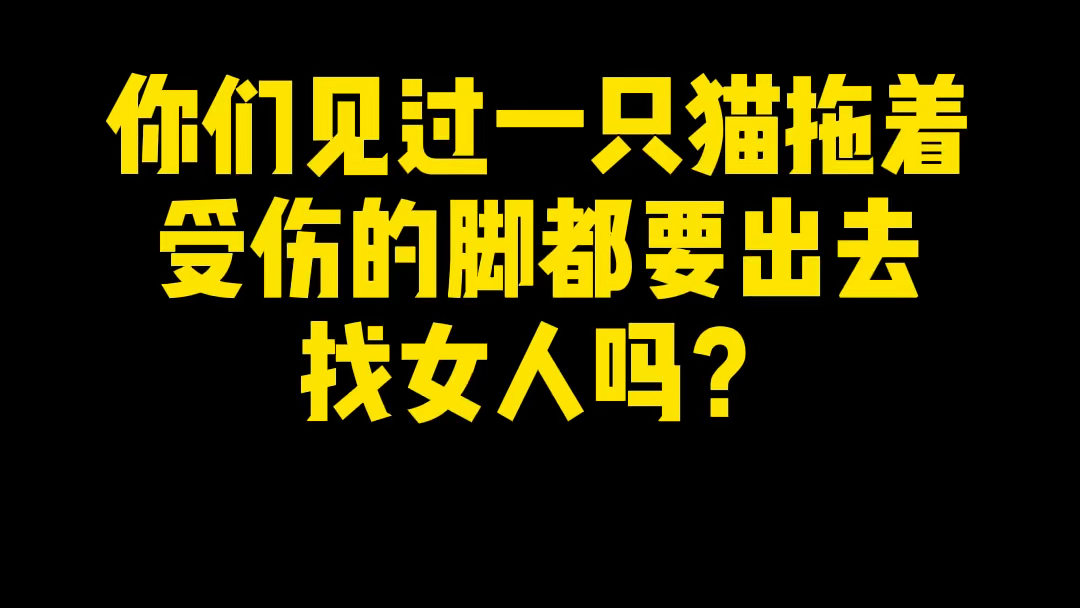 就算爬着我也要去找女人!哔哩哔哩bilibili