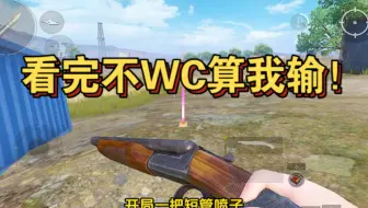 一把短管霰弹手枪，能否成功百万撤离？