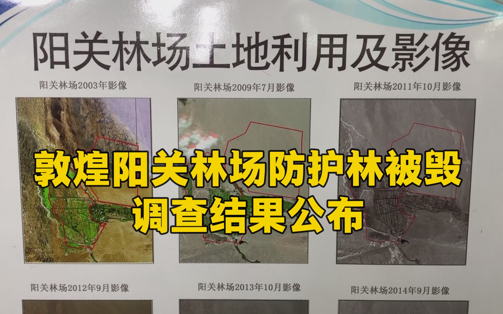 敦煌阳关林场防护林被毁调查结果公布!