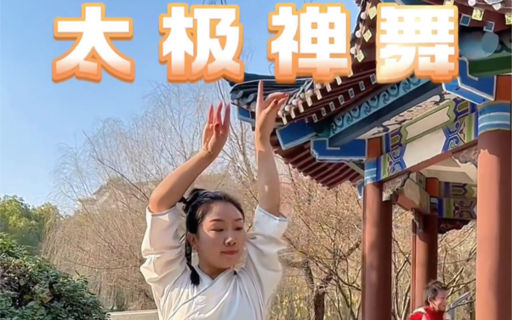 太极禅舞零基础教学