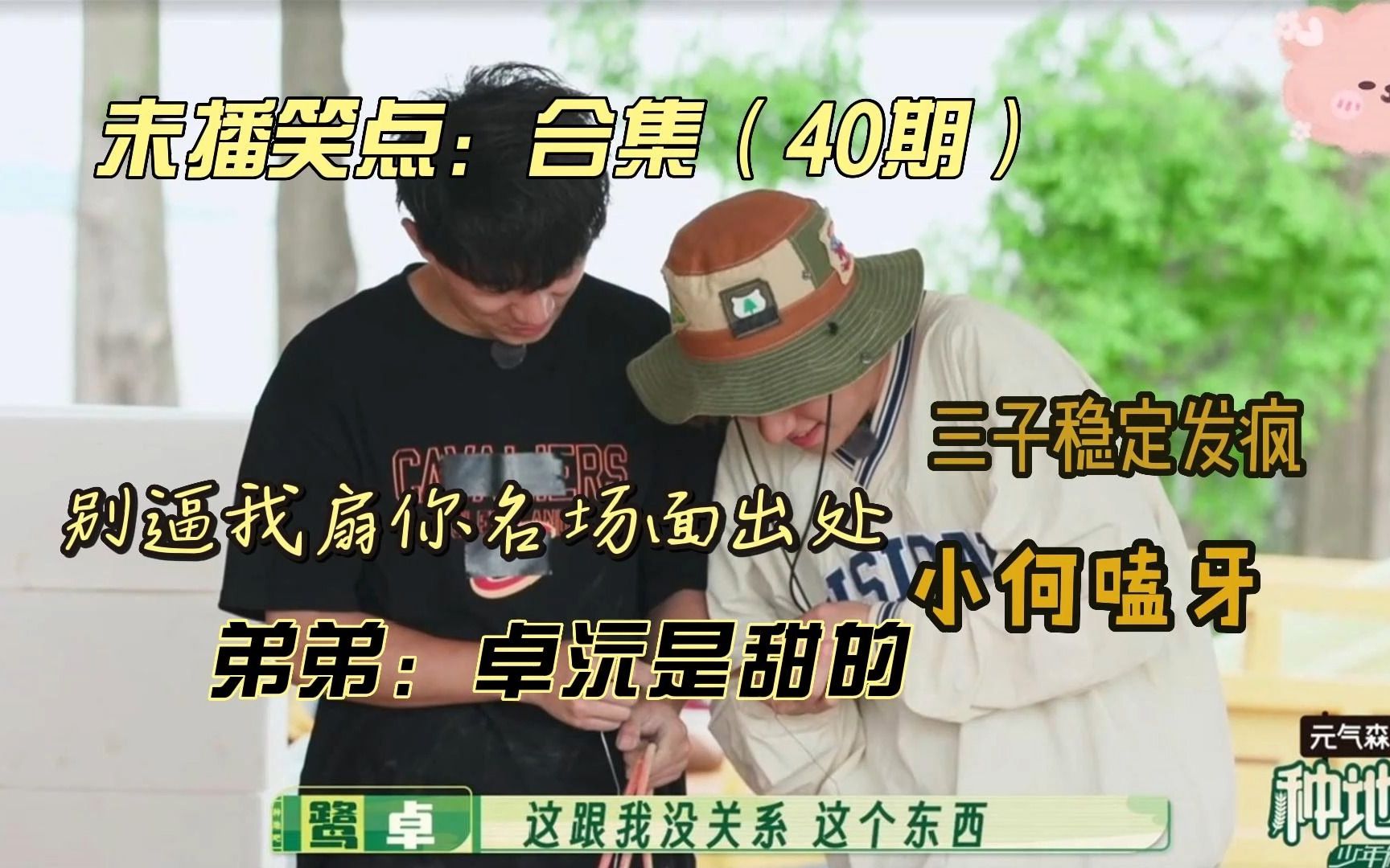 别逼我扇你经典出处""三子稳定发疯""小何磕牙"