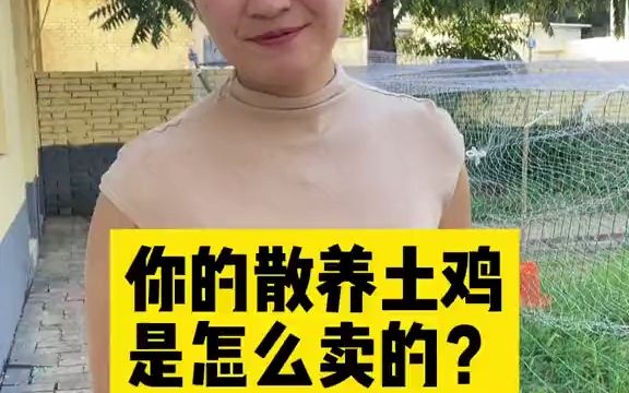 【大学生返乡】你的散养土鸡是怎么卖的?哔哩哔哩bilibili