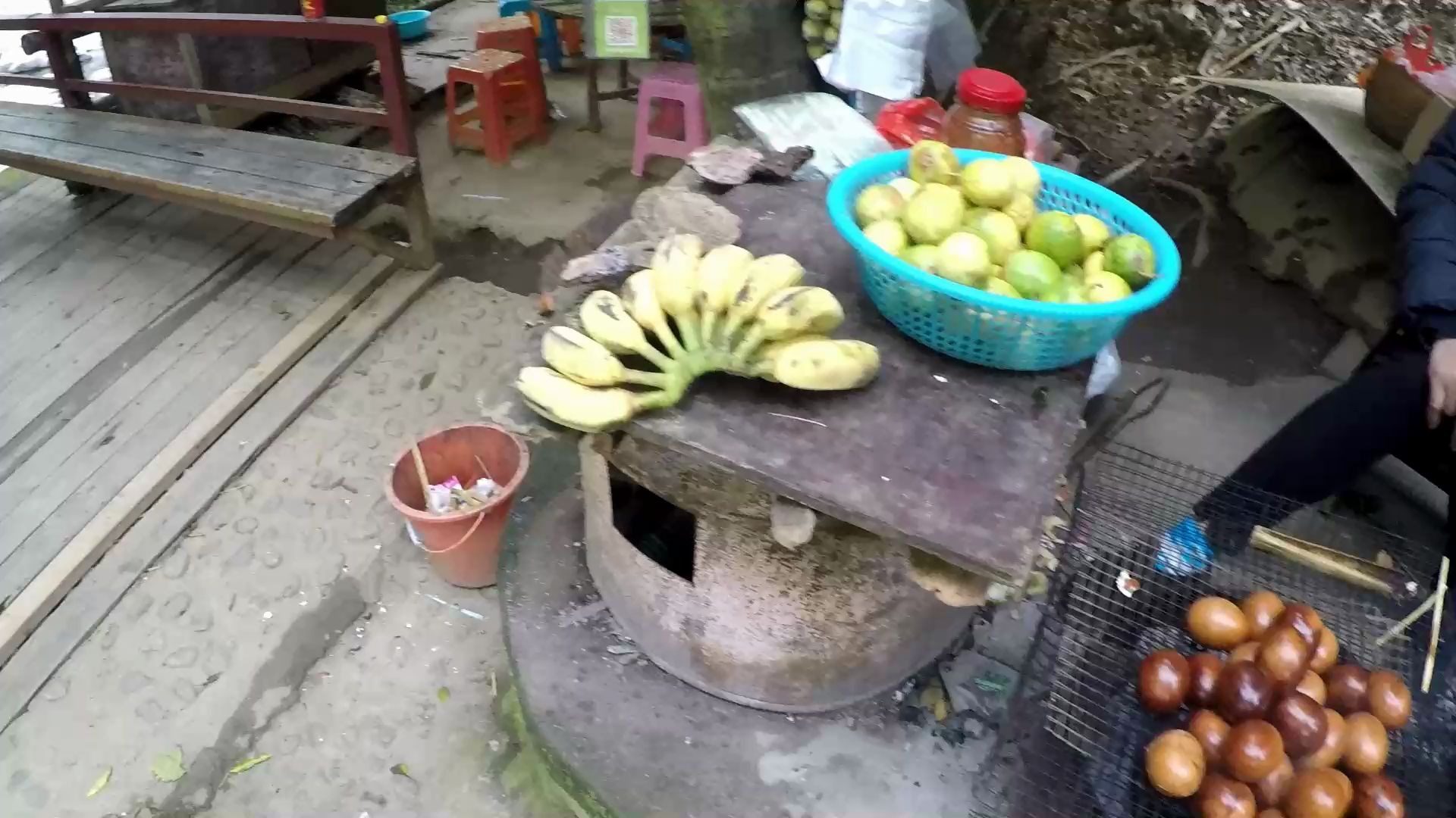 [图]五指山热带雨林