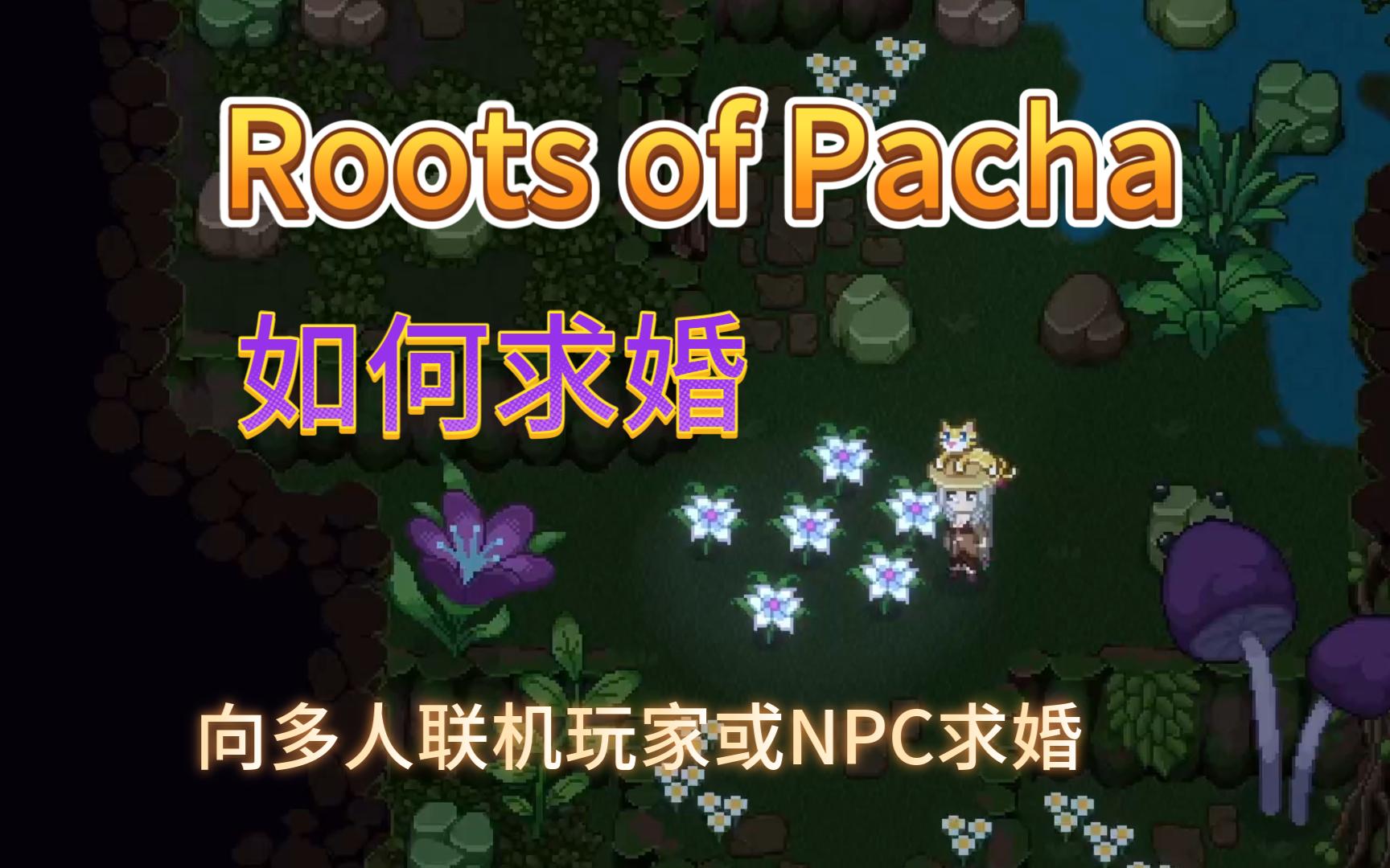 [图]【帕夏时代】如何结婚 - 向联机玩家/NPC求婚 - Roots of Pacha 攻略