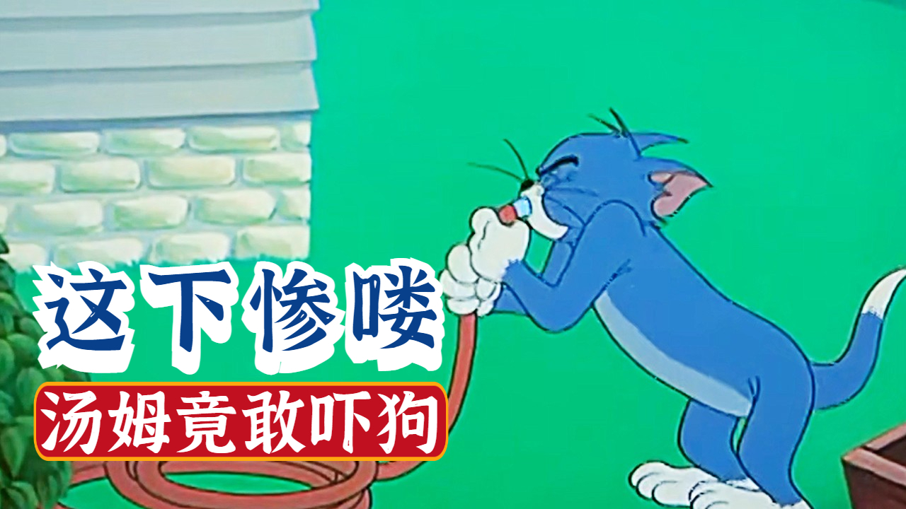 两只狗被喇叭声吓得不清这下汤姆要惨喽