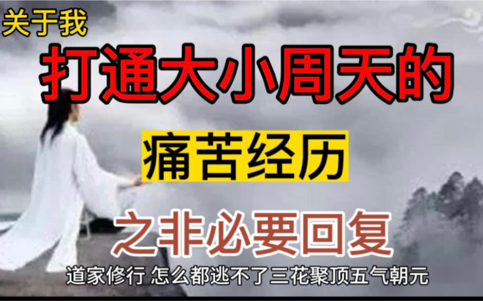 [图]关于我说的打通任督二脉和大小周天、三花聚顶五气朝元的一个非必要澄清