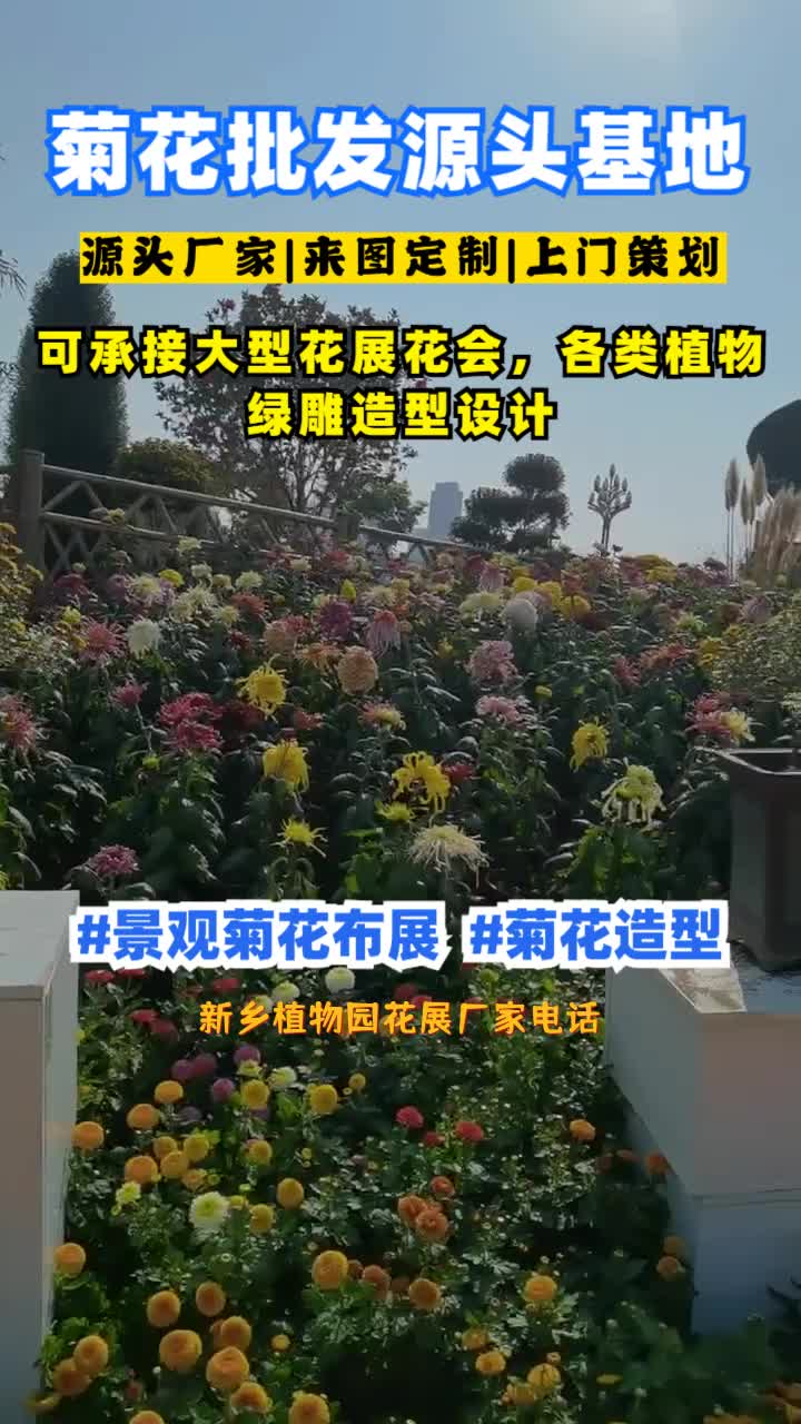 新乡植物园花展厂家电话,菊展,景观菊花,找景茂,河南菊花展布展设计厂家,免费设计,来图定制,上门策划,景观菊花布展,有兴趣的老板,评论区留...