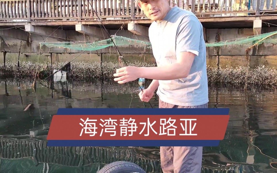 海钓路亚小黑鱼静水微物小鱿鱼软饵操作哔哩哔哩bilibili