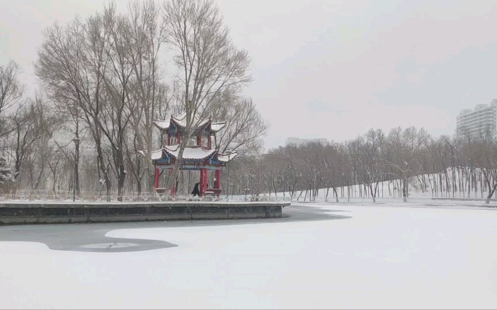 雪下红湖——新疆大学红湖校区哔哩哔哩bilibili