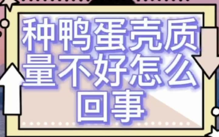 种鸭蛋壳质量不好怎么回事 鸭蛋壳为什么发黑 鸭蛋蛋壳薄是什么原因 鸭蛋壳为什么是绿色的哔哩哔哩bilibili