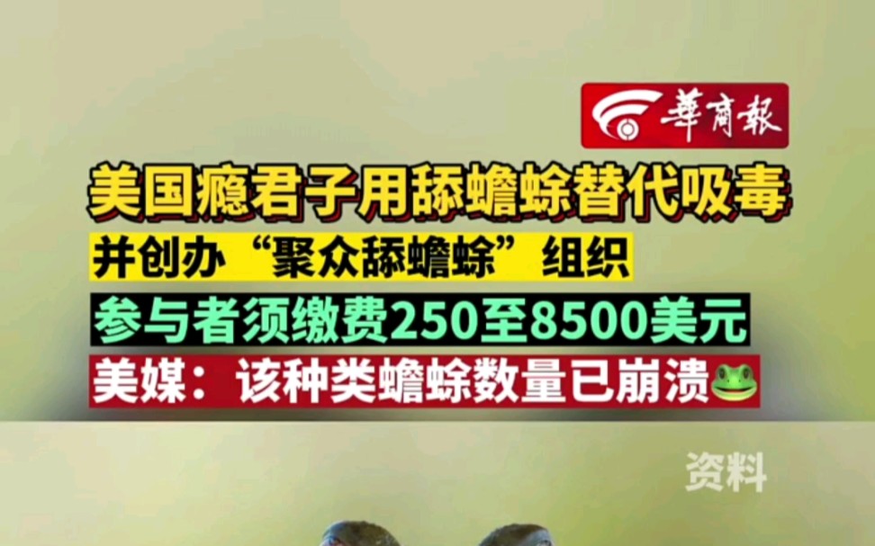 我看到华商报这条新闻我震惊了,于是我决定发点真实的内容作证.哔哩哔哩bilibili