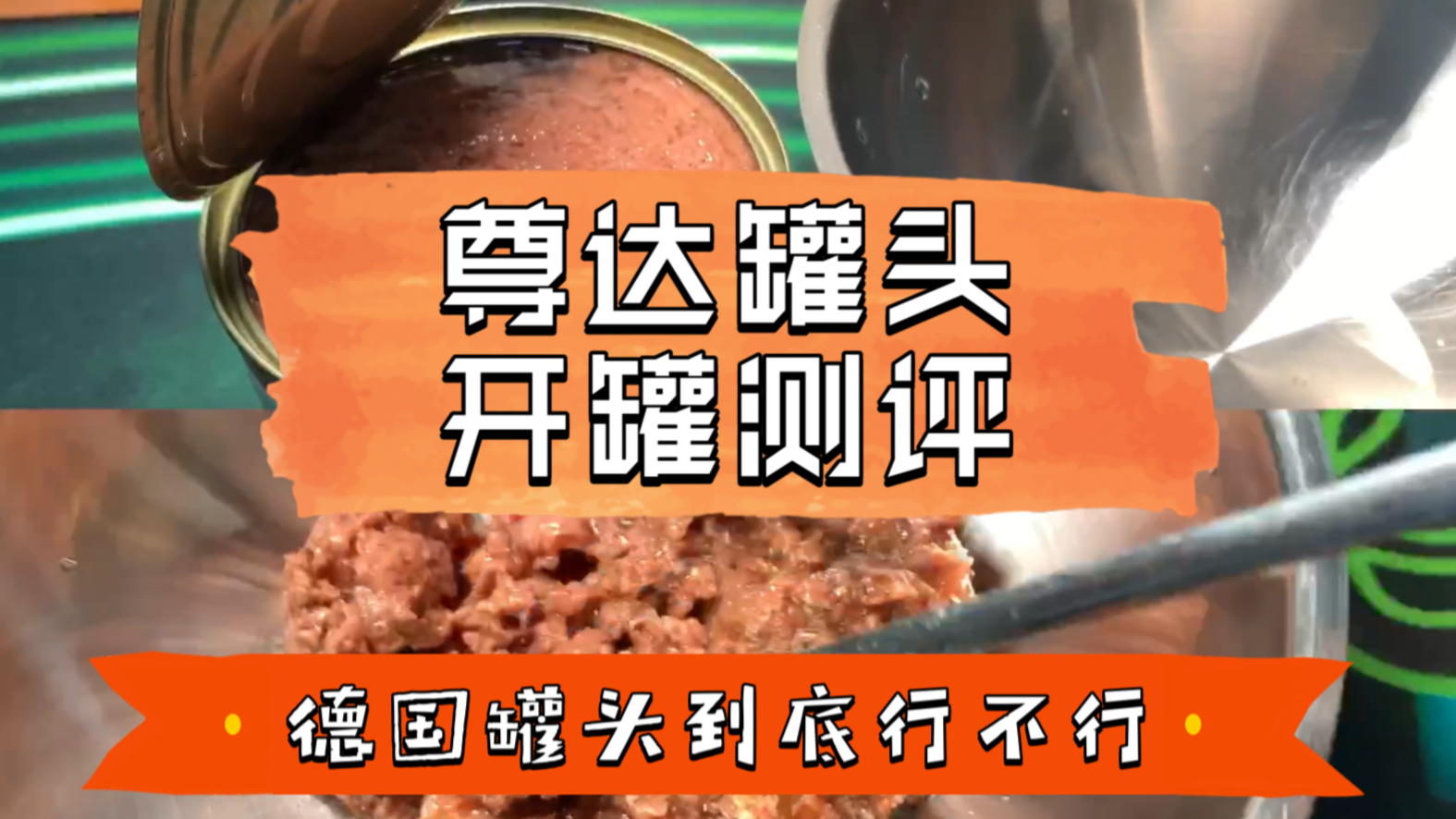 猛虎Vlog 之 开罐进食尊达兔肉鸡肉主食罐头哔哩哔哩bilibili