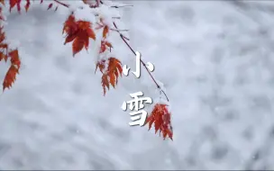 Download Video: 小雪｜小雪到，冬始俏