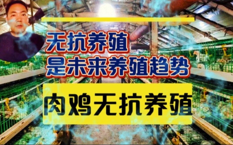 每个人都离不开食品,食品安全影响每一个人,无抗养殖是未来趋势哔哩哔哩bilibili