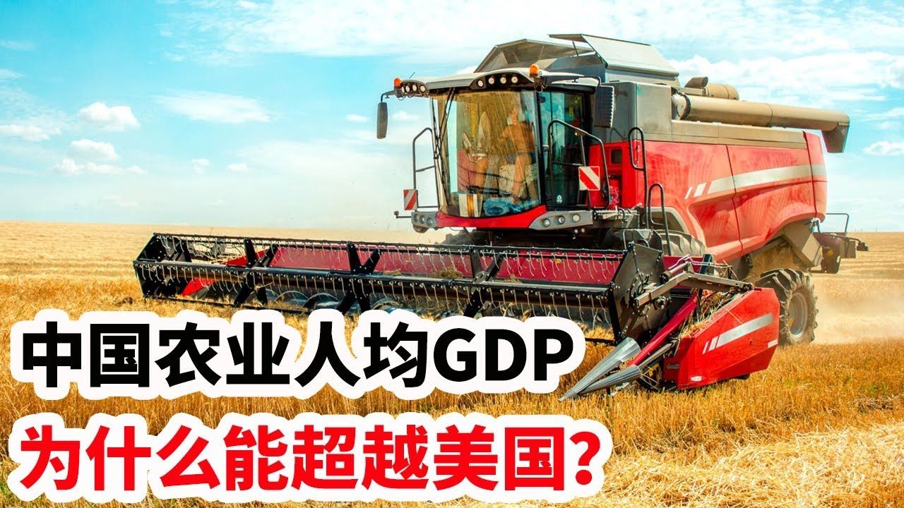 中国农业人均GDP为什么能超越美国?哔哩哔哩bilibili