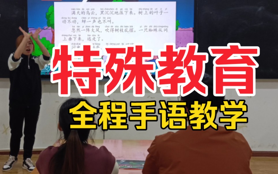 【乐山师范学院】大学生试讲试教聋校语文《雷雨》特殊教育哔哩哔哩bilibili