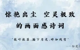 Download Video: “枝叶扶苏，漏下月光，碎如残雪”