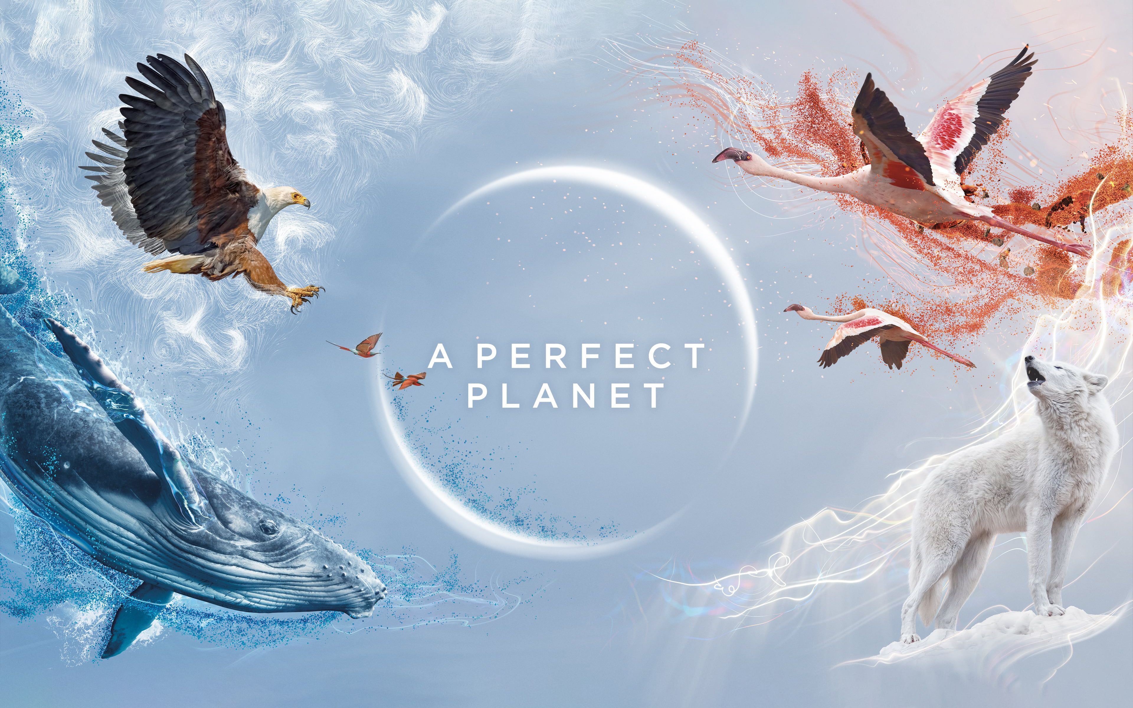 [图]完美星球 中英双语字幕 A Perfect Planet