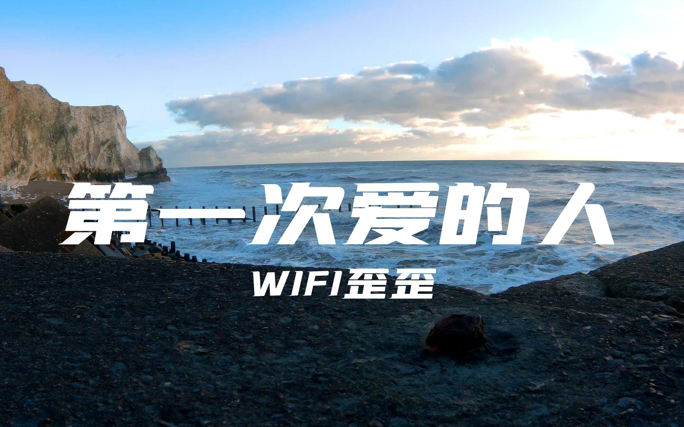 [图]【无损音质】第一次爱的人-WIFI歪歪“当我 失去你那一秒心突然就变老the day you went away”