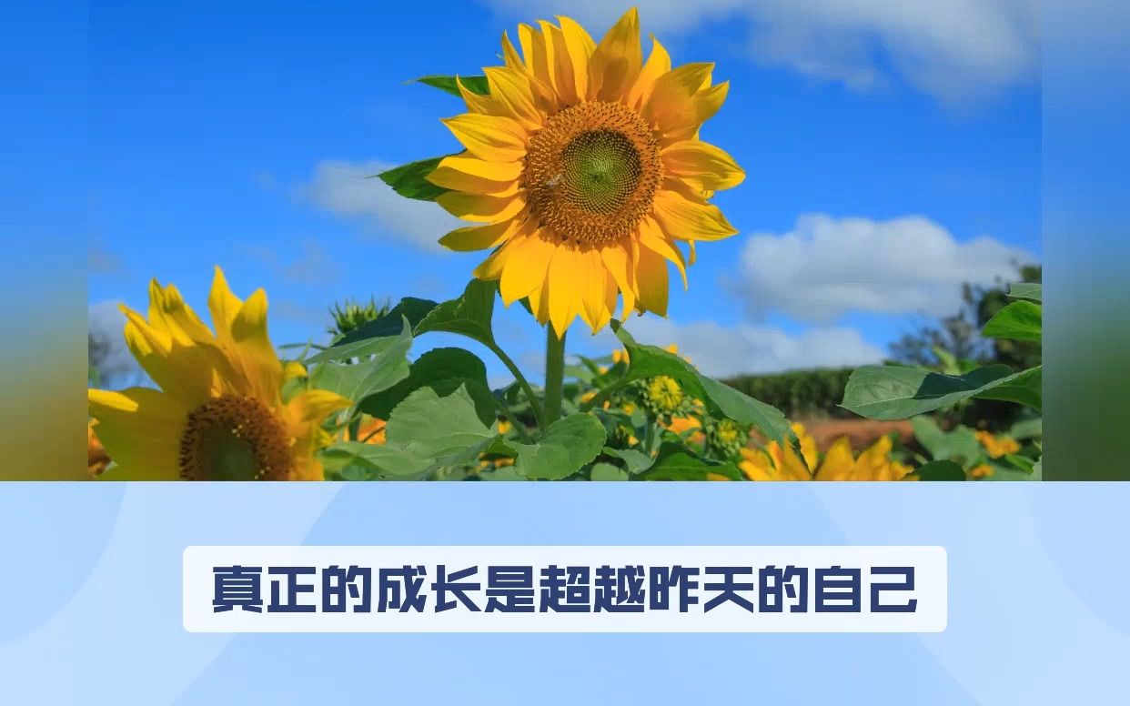 人民日报直戳人心的文案