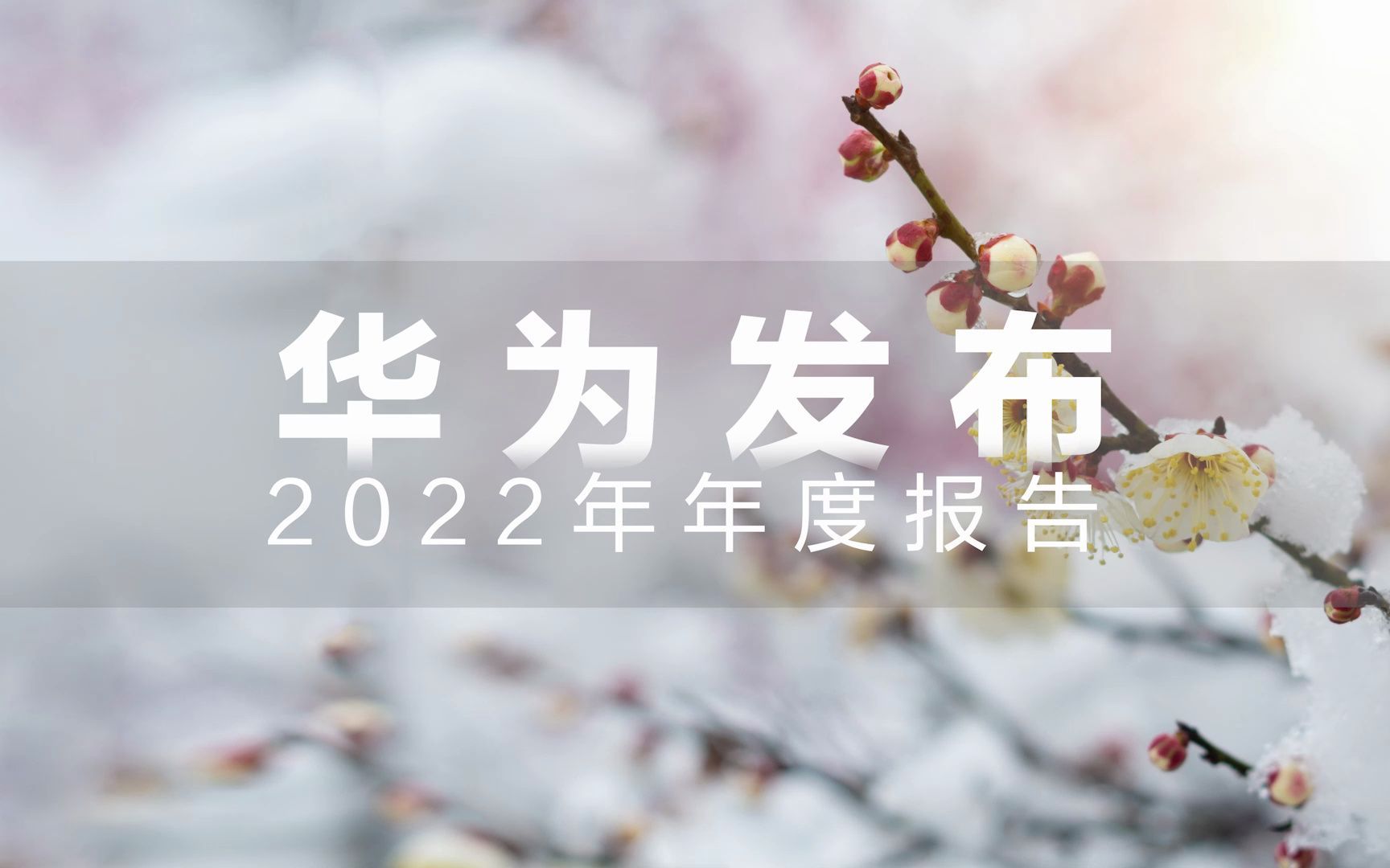 华为2022年度收入报告 年报哔哩哔哩bilibili